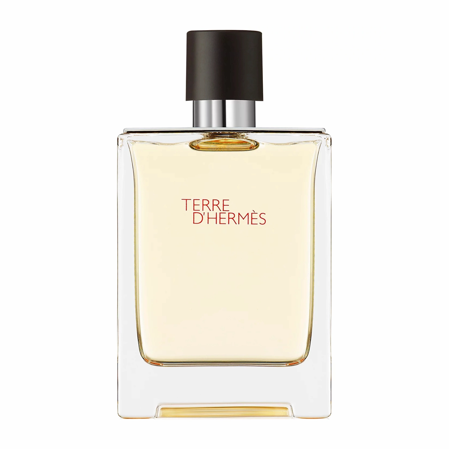 MAIN Hermès-Terre d’Hermès Men EDT 100ML